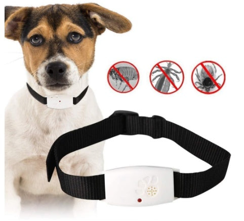 Dog insect repeller belt